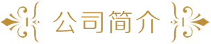 公司简介